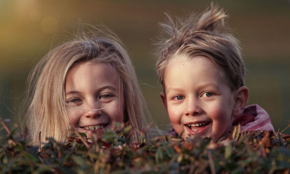 children-siblings-happy-1879907 children, siblings, happy-1879907.jpg